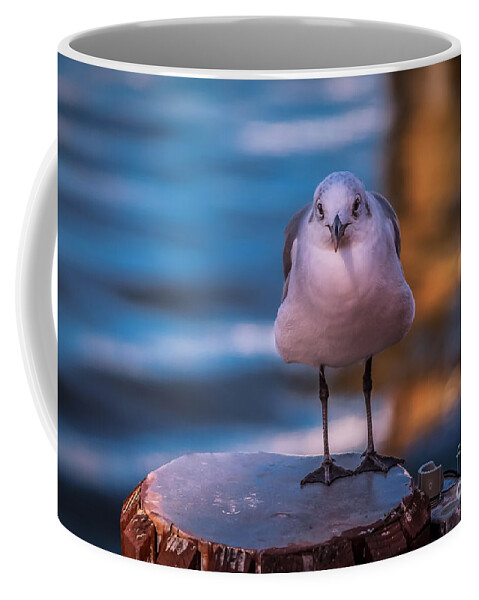 Wildlife Coffee Mug featuring the photograph Hello by Claudia M Photography