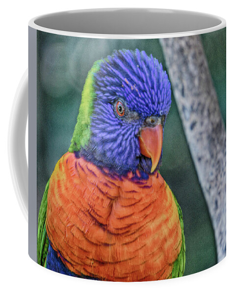 Birds Coffee Mug featuring the photograph Hello by Dennis Dugan