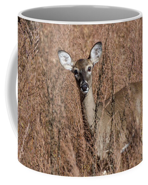 Wildlife Coffee Mug featuring the photograph Hello by John Benedict