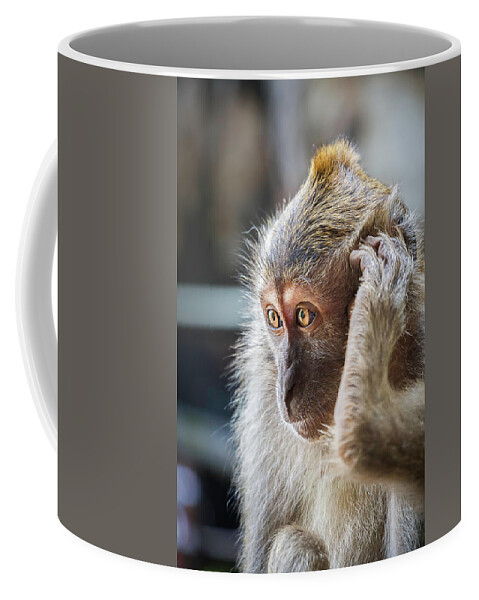 Monkey Coffee Mug featuring the photograph Hello, Monkey Here by Rick Deacon