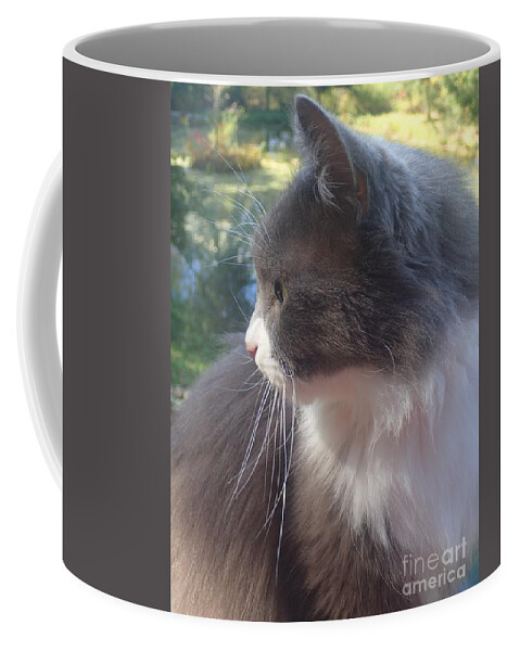 Flowers Coffee Mug featuring the photograph Here Kitty by Christina Verdgeline