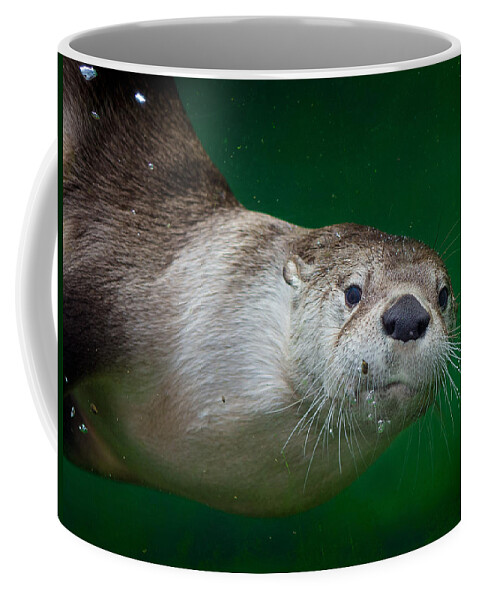 Greg Nyquist Coffee Mug featuring the photograph Here's Looking at You #1 by Greg Nyquist