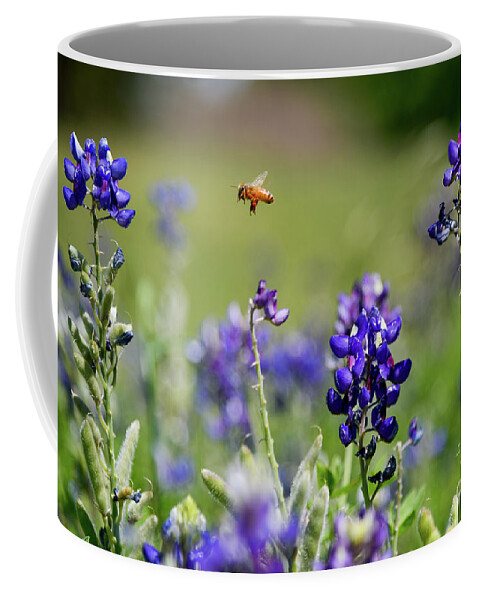 Bee Coffee Mug featuring the photograph Here's looking at you by Paul Quinn