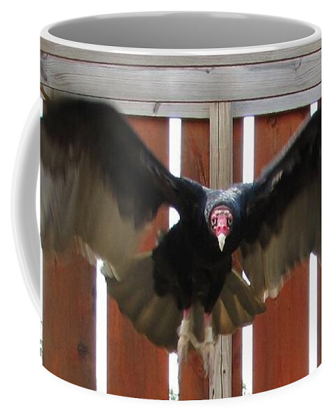 Vulture Coffee Mug featuring the photograph Herman Munster in flight by Keith Stokes