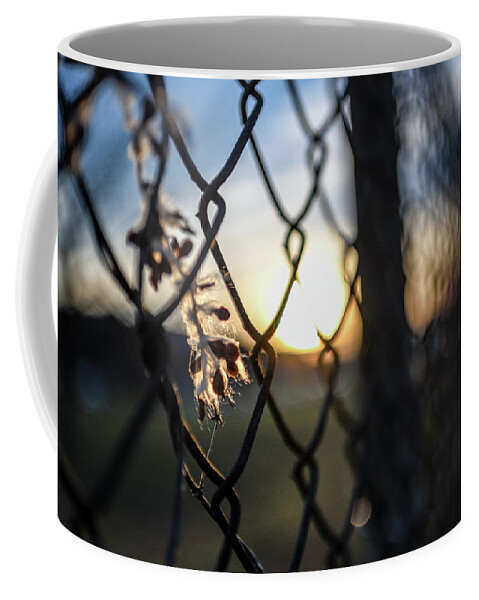 Rva Coffee Mug featuring the photograph Hermitage Sunrise by Doug Ash