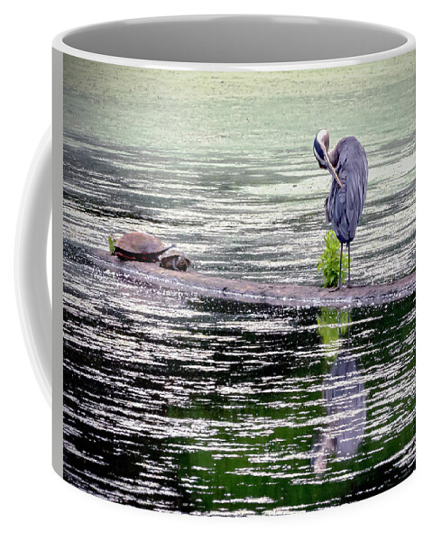 2d Coffee Mug featuring the photograph Heron And Turtles by Brian Wallace