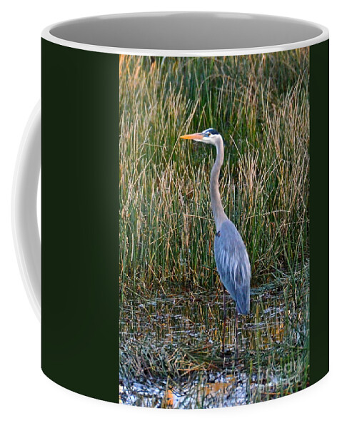 Heron Coffee Mug featuring the photograph Heron At Sunset by Carol Bradley