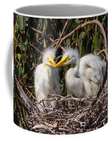 Heron Coffee Mug featuring the photograph Heron Babies in their Nest by Kathleen Bishop