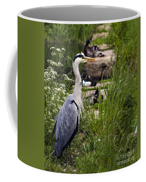 Wildlife Coffee Mug featuring the photograph Heron by Linsey Williams