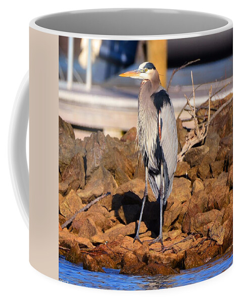 Heron On The Rocks Coffee Mug featuring the photograph Heron On The Rocks by Lisa Wooten