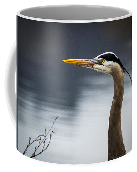 Birds Coffee Mug featuring the photograph Heron Portrait by Jean Noren