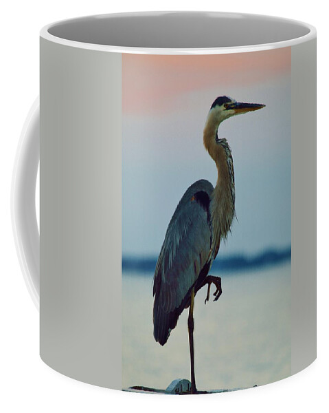 Beachbumpics Coffee Mug featuring the photograph Heron Posing 4 by Billy Beck