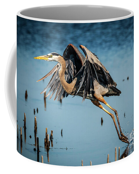 Heron Coffee Mug featuring the photograph Heron Take Off by Joann Long