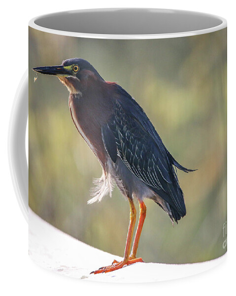 Heron Coffee Mug featuring the photograph Heron with Ruffled Feathers by Tom Claud