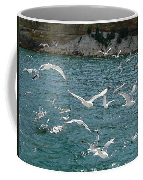 Pictured Rocks National Lakeshore Coffee Mug featuring the photograph Herring Gulls at Pictured Rocks by Keith Stokes