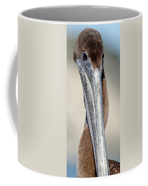 Hey Baby Coffee Mug featuring the photograph Hey Baby, Wanna Neck? -- Brown Pelican in Avila Beach, California by Darin Volpe