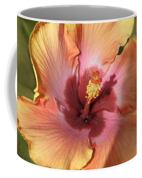 Hibiscus Coffee Mug featuring the photograph Hibis Kissed by Louise Hill