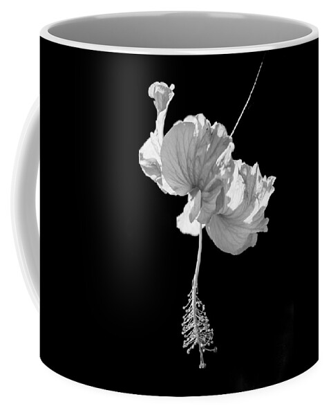 Black Coffee Mug featuring the photograph Hibiscus as Art 1 by Hitendra SINKAR