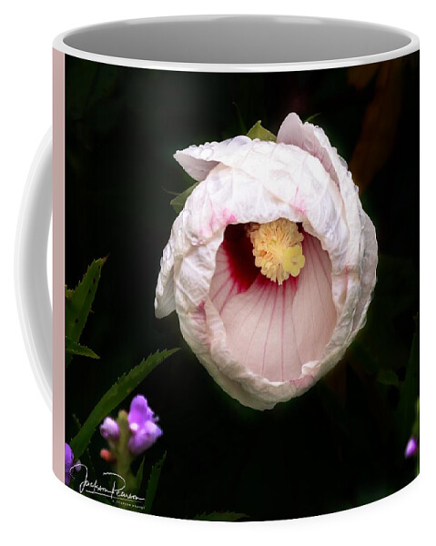 Hibiscus Coffee Mug featuring the photograph Hibiscus in bloom by Jackson Pearson