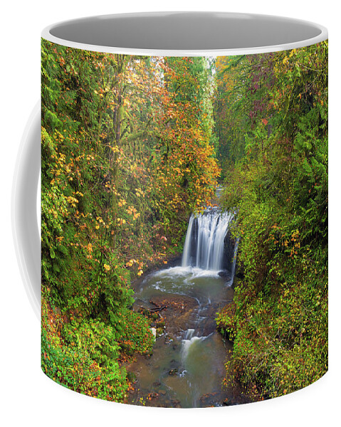 Hidden Falls Coffee Mug featuring the photograph Hidden Falls in Autumn by David Gn