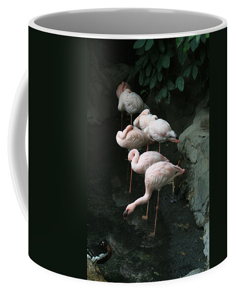 Scene Coffee Mug featuring the photograph Hide and Seek by Mary Mikawoz