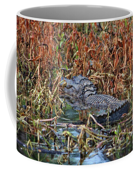 American Alligator Coffee Mug featuring the photograph Hiding Spot For Alligator by Cynthia Guinn