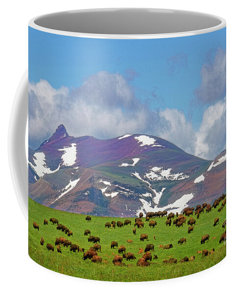 Buffalo Coffee Mug featuring the photograph High Plain Buffalo by David Arment