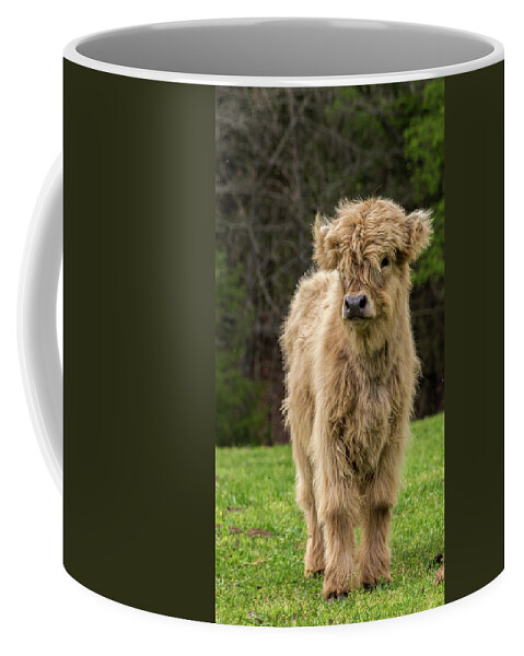 Calf Coffee Mug featuring the photograph Highland Calf by Holly Ross