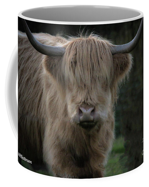Highland Cattle Coffee Mug featuring the photograph Highland Cattle Three by Veronica Batterson