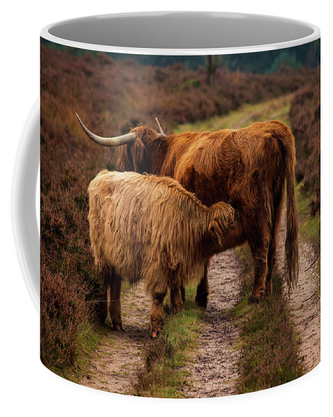 Animals Coffee Mug featuring the photograph Highland Cows by Tim Abeln
