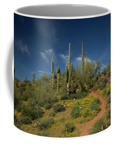 Spring Coffee Mug featuring the photograph Hiking in Springtime by Sue Cullumber