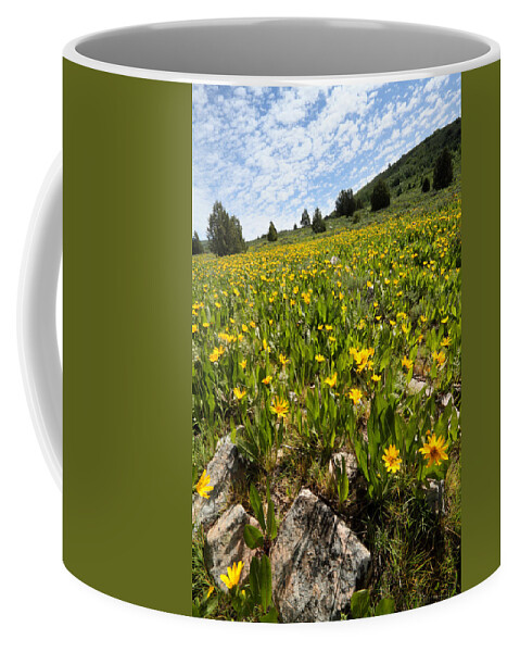 Flower Coffee Mug featuring the photograph Hills of Yellow Flowers by Brett Pelletier