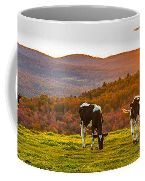 Cows Coffee Mug featuring the photograph Hilltop Herd by Tim Kirchoff
