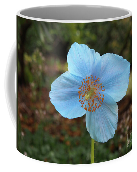 Himalayan Coffee Mug featuring the photograph Himalayan Blue Poppy by Jacklyn Duryea Fraizer