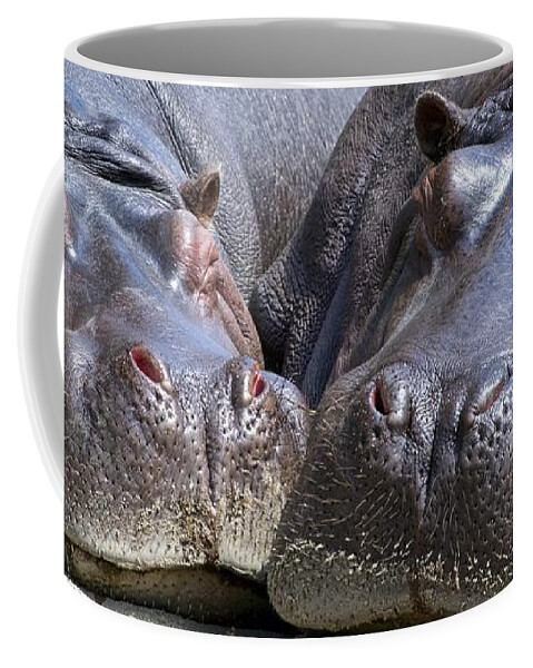 Hippo Coffee Mug featuring the digital art Hippo by Maye Loeser
