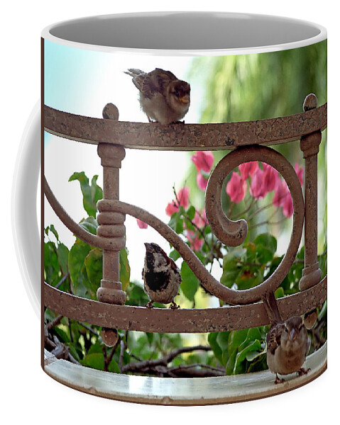 Sparrow Coffee Mug featuring the photograph His Eye is on the Sparrow by Marie Hicks