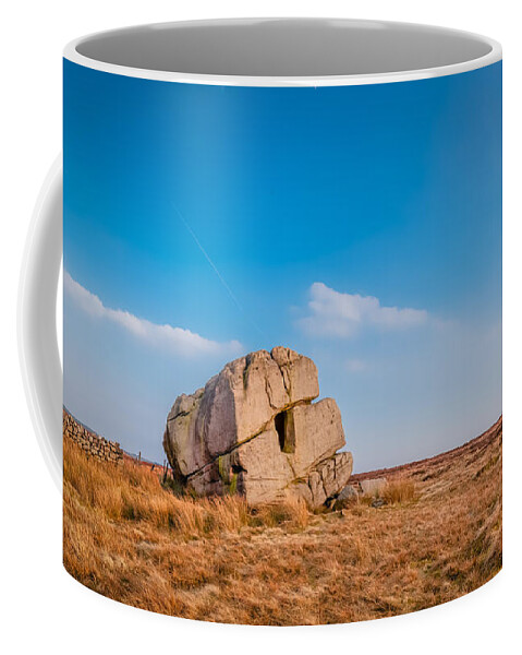 Airedale Coffee Mug featuring the photograph Hitching Stone by Mariusz Talarek