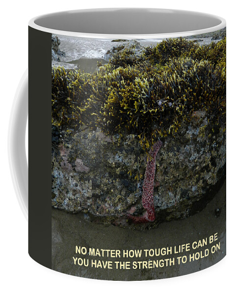 Starfish Coffee Mug featuring the photograph Hold On by Gallery Of Hope 