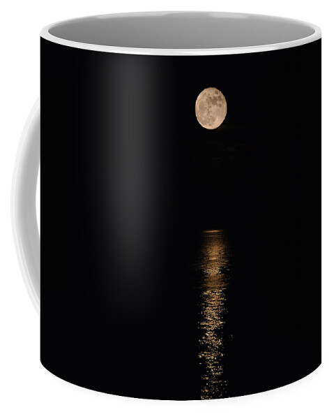 Holiday Magic Coffee Mug featuring the photograph Holiday Magic - Lunar Art by Jordan Blackstone