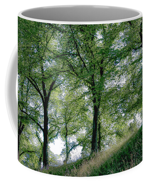 Europe Coffee Mug featuring the photograph Homage to Carl Larsson by KG Thienemann