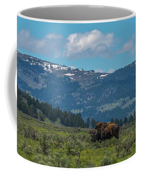 Bison Coffee Mug featuring the photograph Home On The Yellowstone Range by Yeates Photography