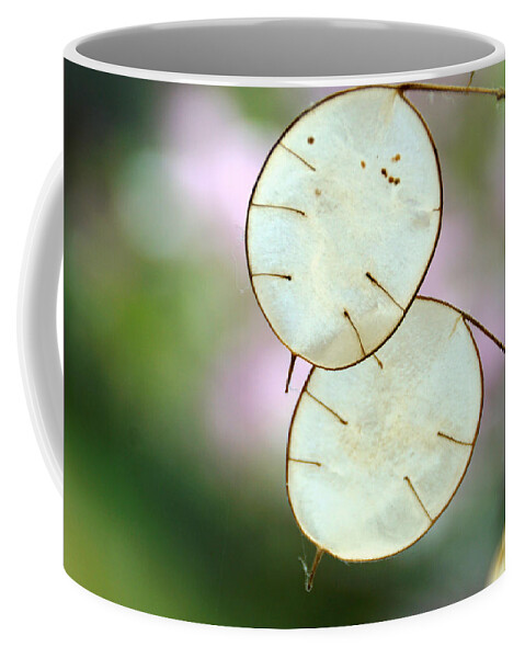 Lunaria Annua Coffee Mug featuring the photograph Honesty by Jolly Van der Velden