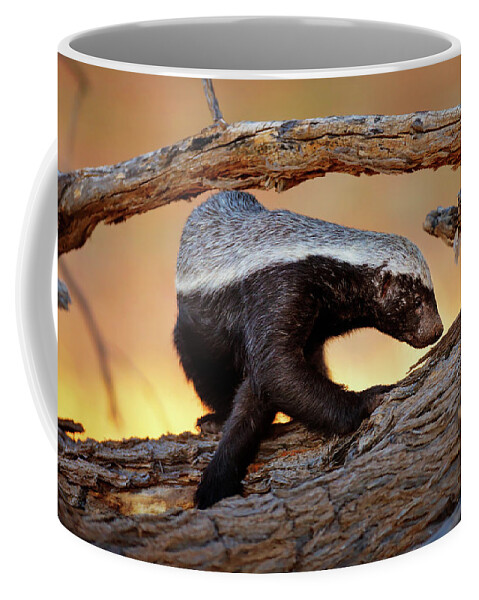 Honey Badger Coffee Mug featuring the photograph Honey Badger by Johan Swanepoel