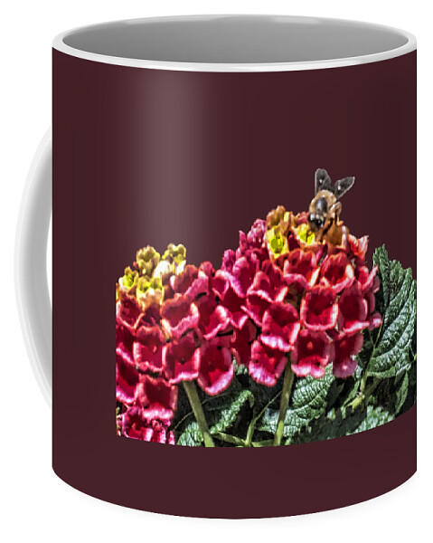 Honey Bee On Flower Coffee Mug featuring the photograph Honey Bee on Flower by Daniel Hebard