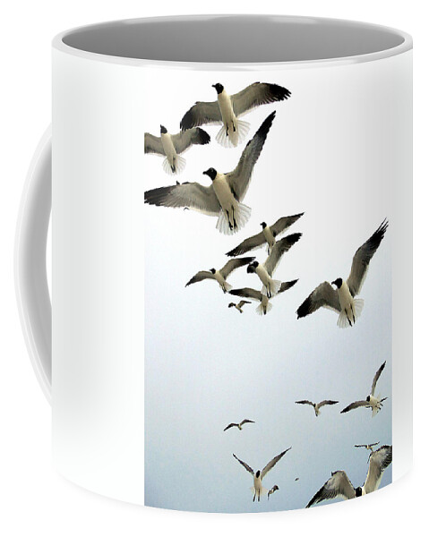 Landscape Coffee Mug featuring the photograph Honeymoon Island Sea Gulls by Christopher Mercer