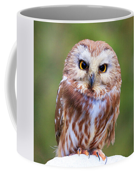 Owl Coffee Mug featuring the photograph Hoo You Lookin At by Steve McKinzie