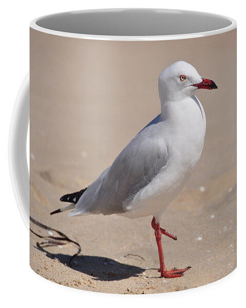 Photo Coffee Mug featuring the photograph Hop-Along Seagull by Csilla Florida