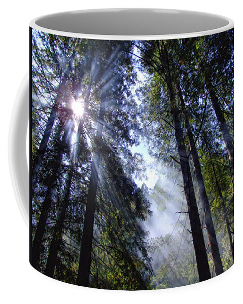 Forest Coffee Mug featuring the photograph Hope From Above by Donna Blackhall
