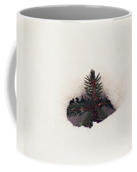 Trees Coffee Mug featuring the photograph Hope by Kathy McClure