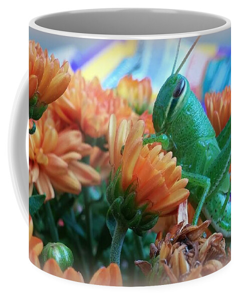 Grasshopper Coffee Mug featuring the photograph Hopper and Orange Mums by Kathy Barney